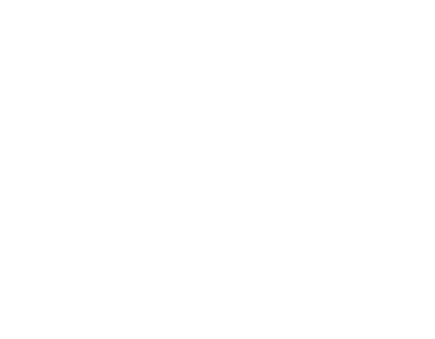 h6-bottom-shape1.png