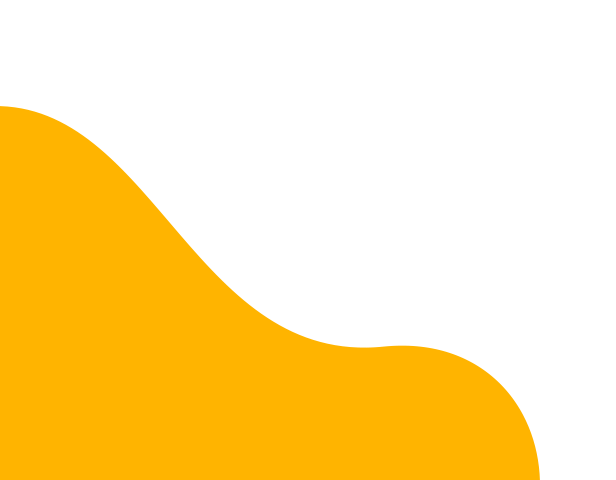 h6-bottom-shape2.png