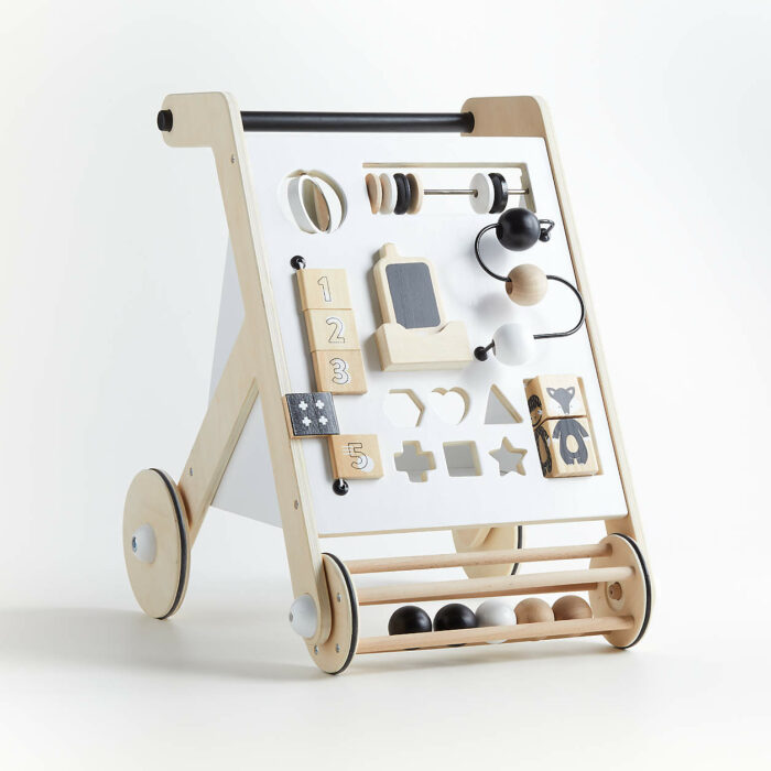 Wonder and Wise Activity Baby Push Walker